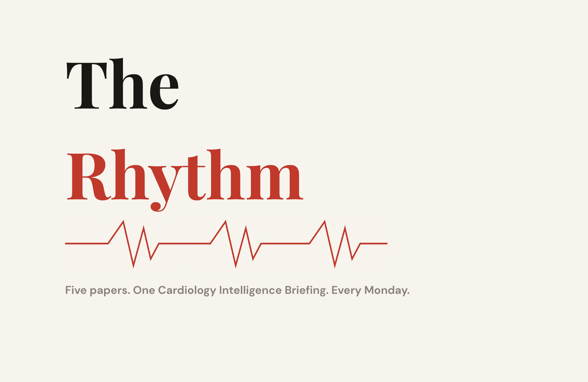 The Rhythm | Issue 15
