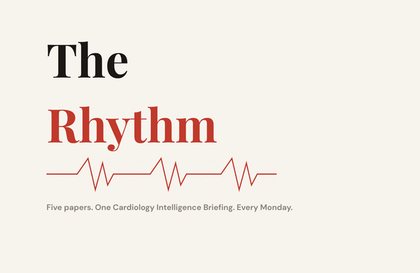 The Rhythm | Issue 14