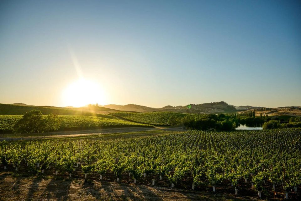 Following Jesus Means Pursuing Justice: A Reflection on Faith, Power, and the Margins