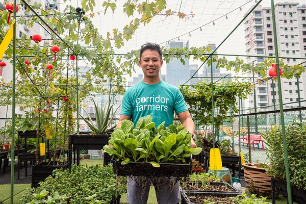 Growing resilience: NTU students, alumni and research cultivate Singapore’s food future