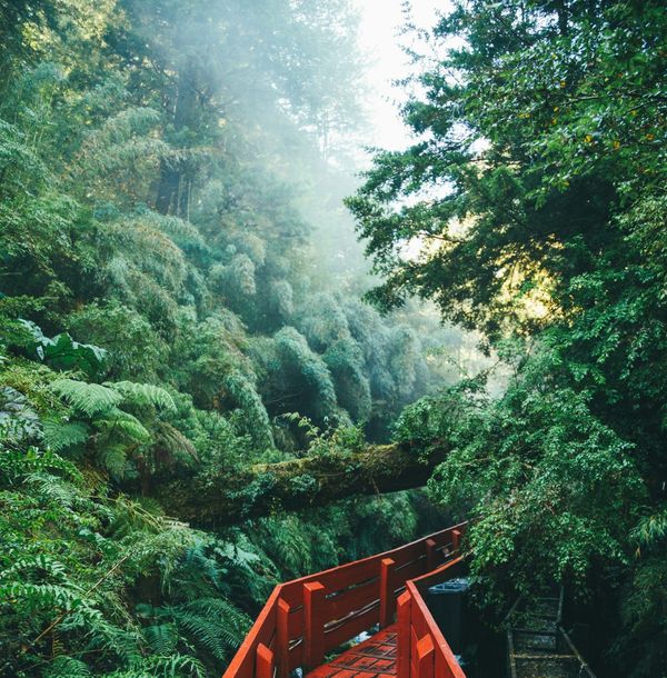 Edith konfrontiert Mitcamper im Dschungelcamp – Symbol für Spott, Gruppendynamik und gesellschaftliche Ausgrenzung