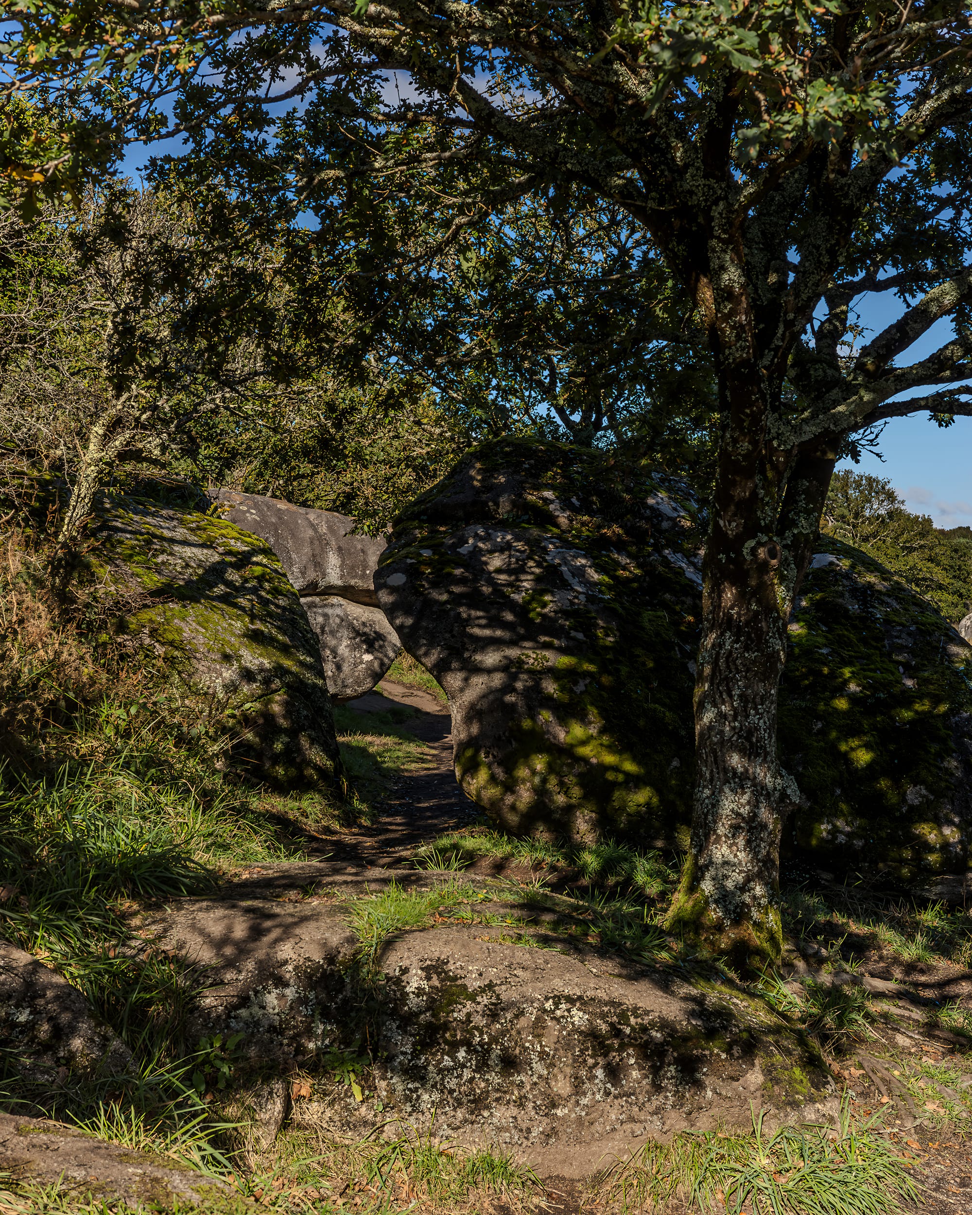 Le sentier du Minaouët, balade depuis Le Cabellou sur le GR34