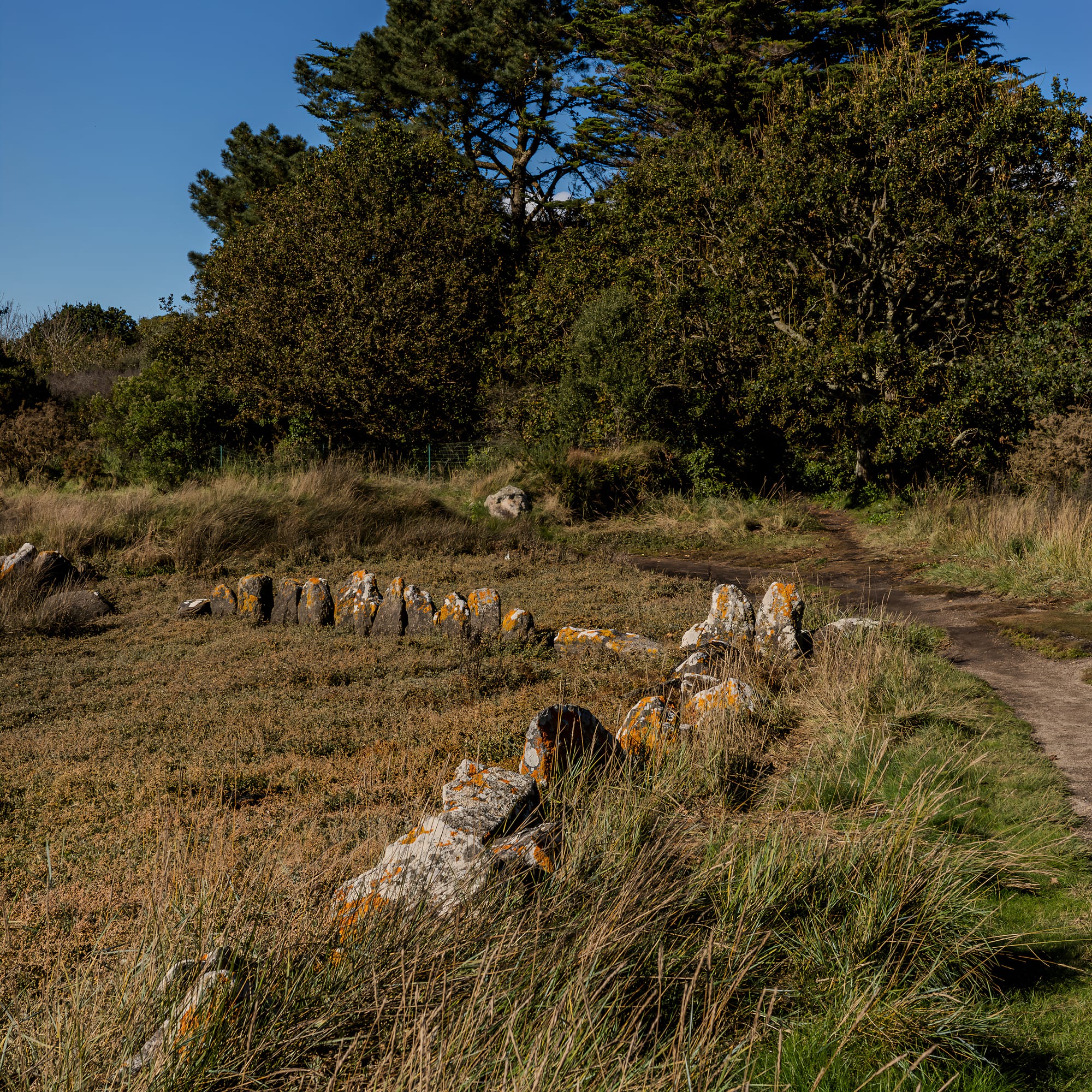 Le sentier du Minaouët, balade depuis Le Cabellou sur le GR34