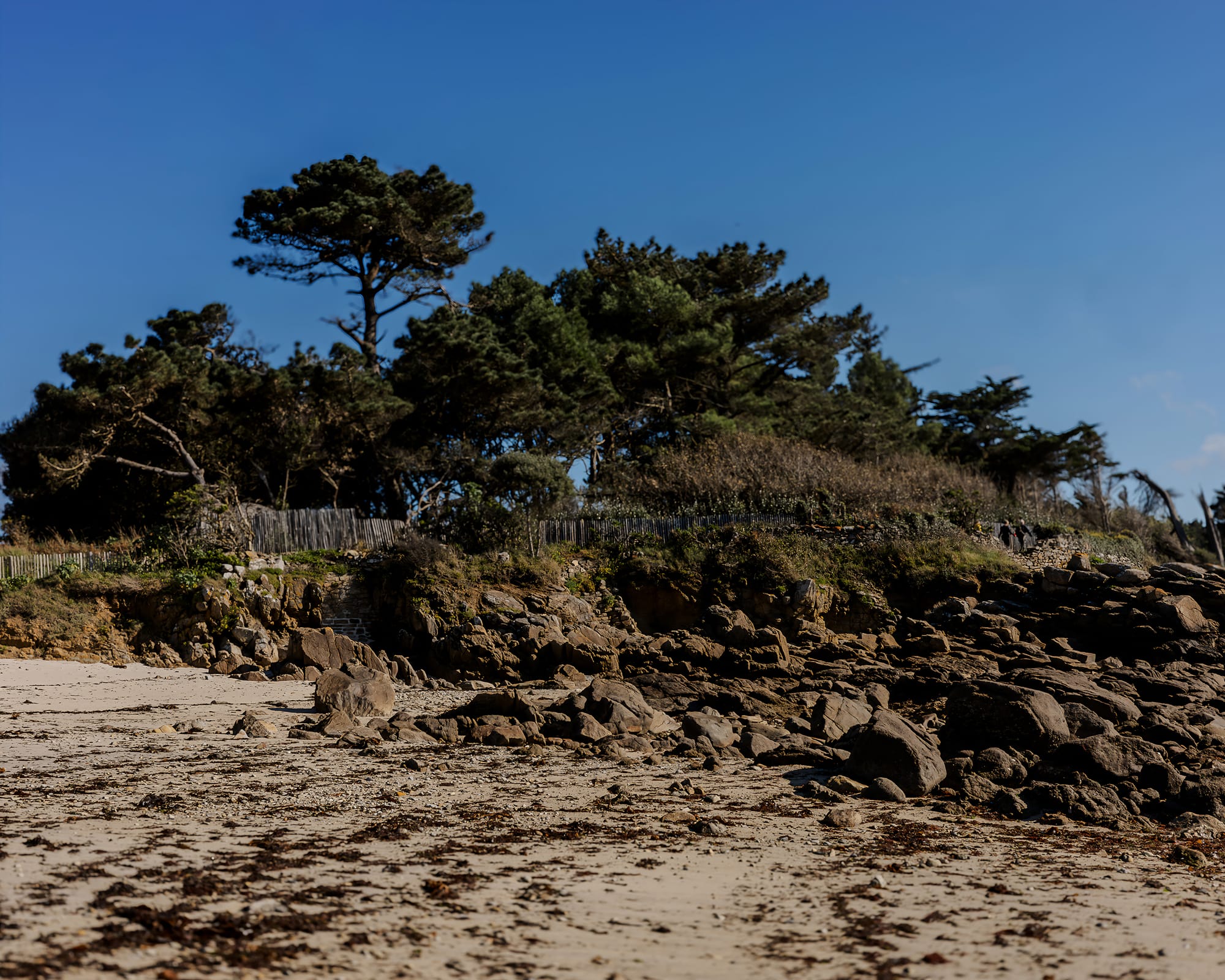 Le sentier du Minaouët : Une anse entre terre et mer