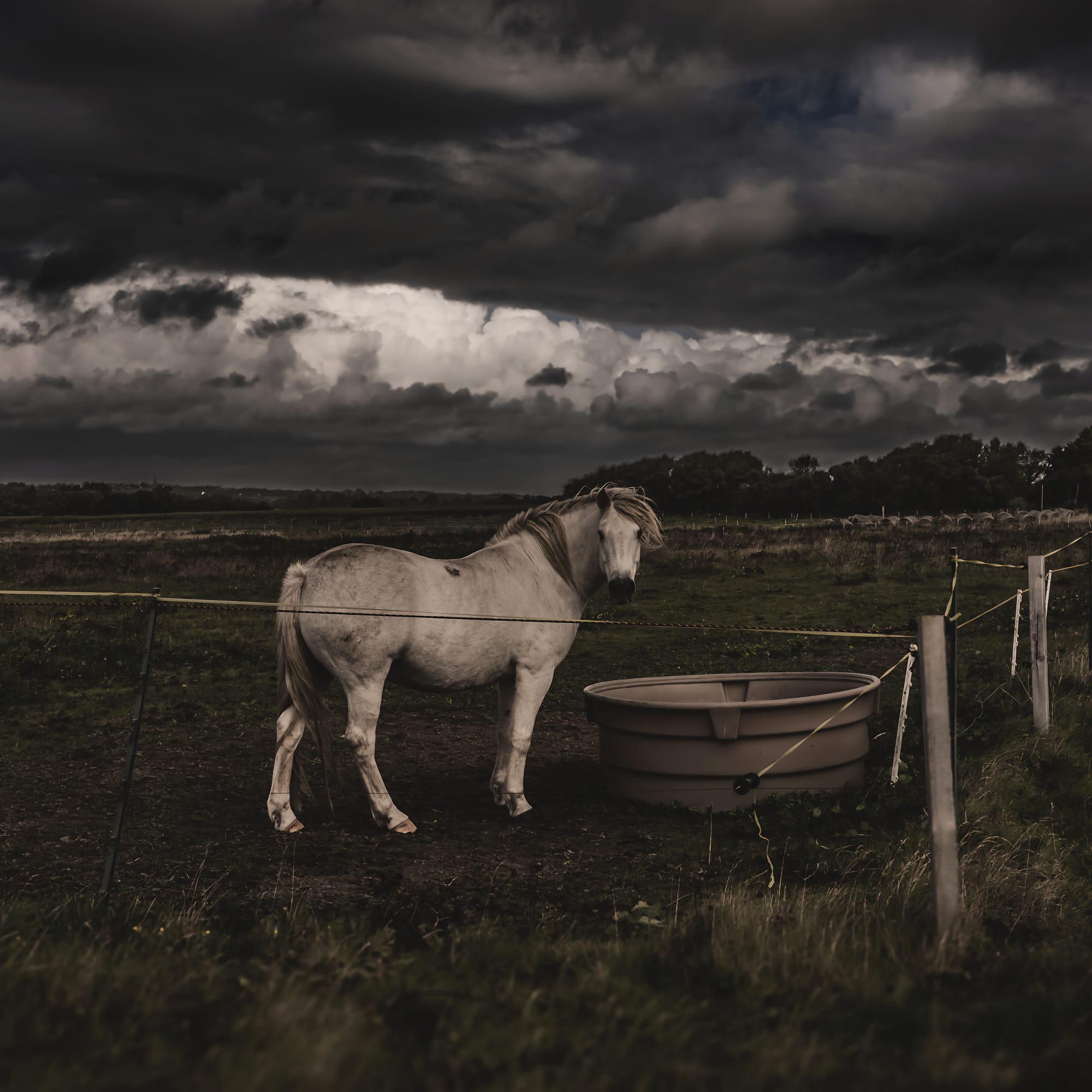 Tronoën : Crinière au vent