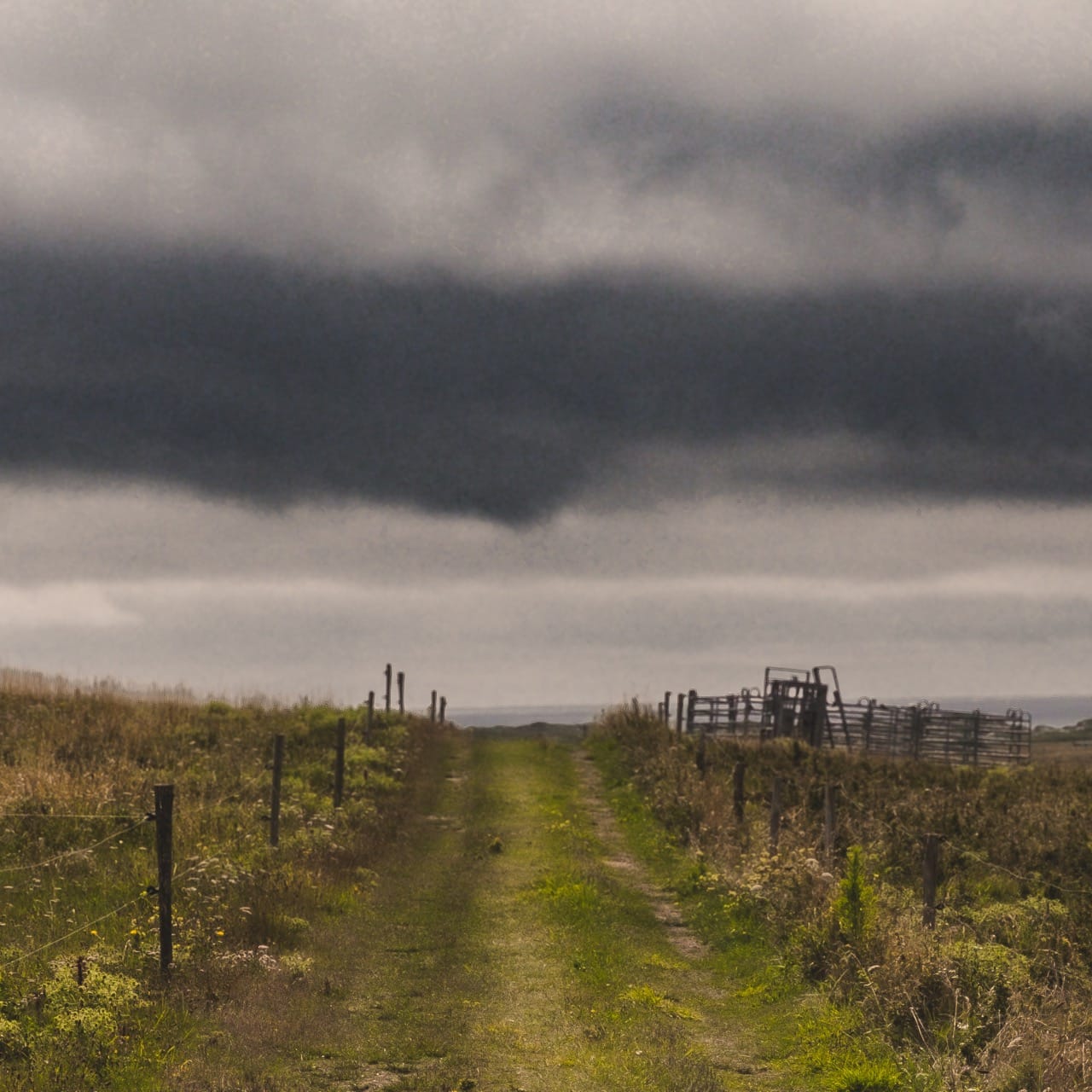 Paysage de Tronoen, Finistère. Chemin de randonnée à travers champs. Photo prise avec un Fujifilm X30. 