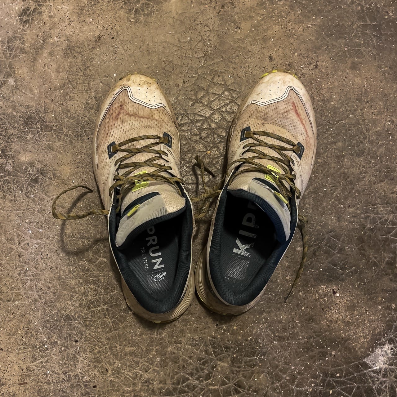 LE VENTRE DE BOUDDHA