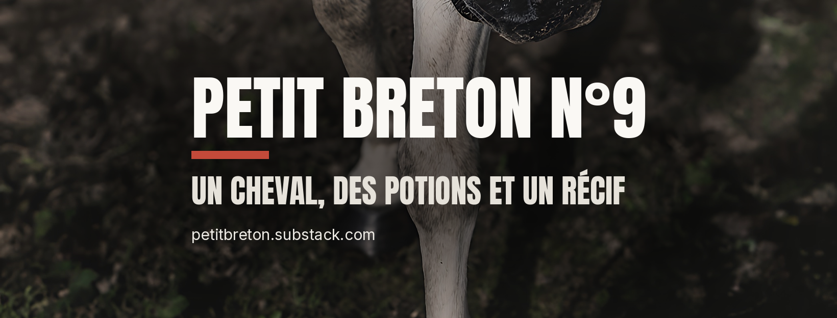 Bandeau de Petit Breton n°9, newsletter consacrée aux initiatives et aux territoires du Finistère, titrée « Un cheval, des potions et un récif ».