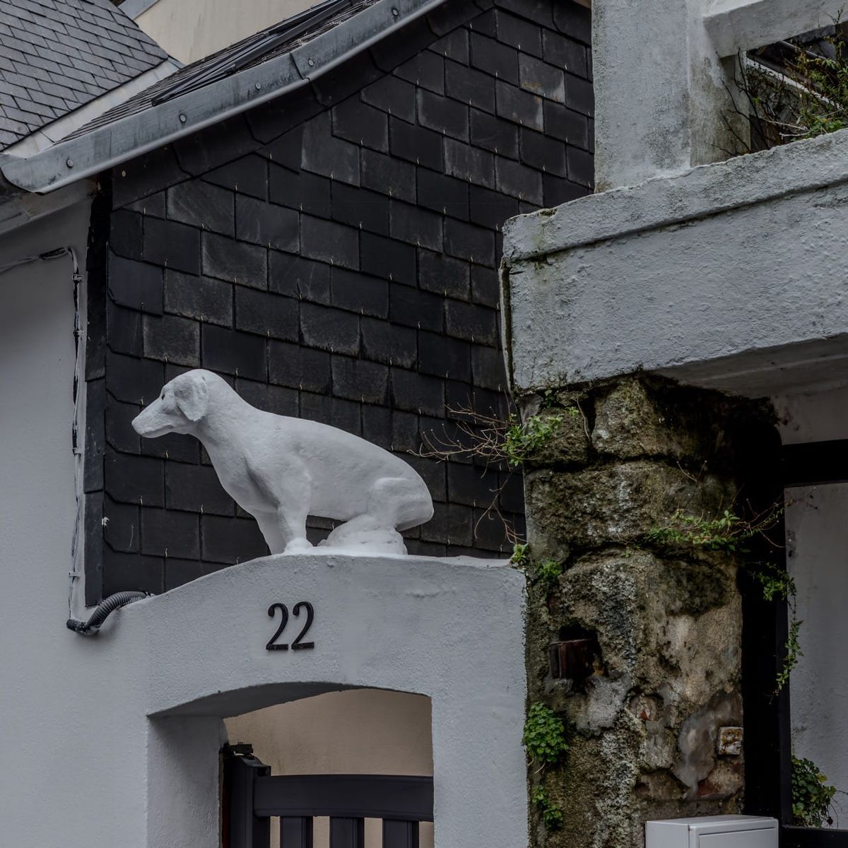 Sculpture d'un chien blanc en pierre, posé sur une arche blanche portant le numéro 22