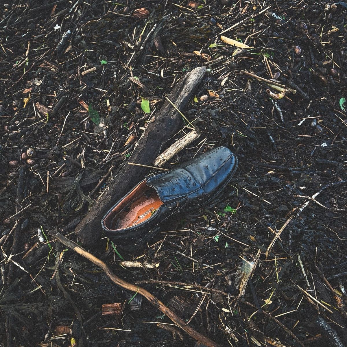 Chaussure de ville noire échouée dans la vase et les débris après une crue de l’Odet à Quimper