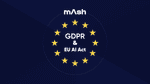 영상처리 AI 솔루션 ‘매쉬’, 유럽연합 GDPR-AI ACT 준수 선언