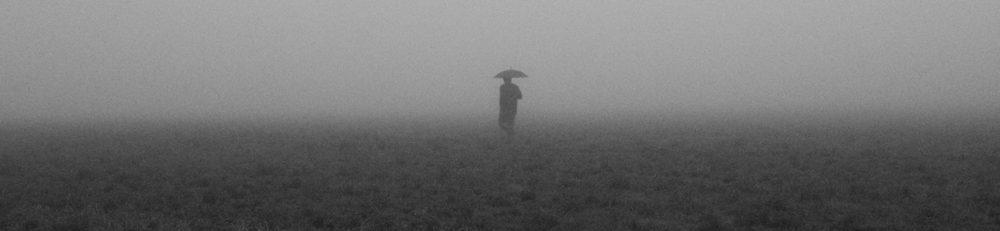 person holding umbrella under the rain