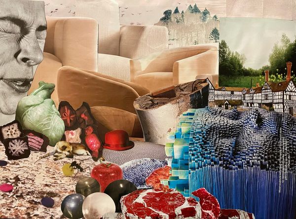 A collage of images including a sneezing face, pieces or furniture, chocolates, raw steak and fish.