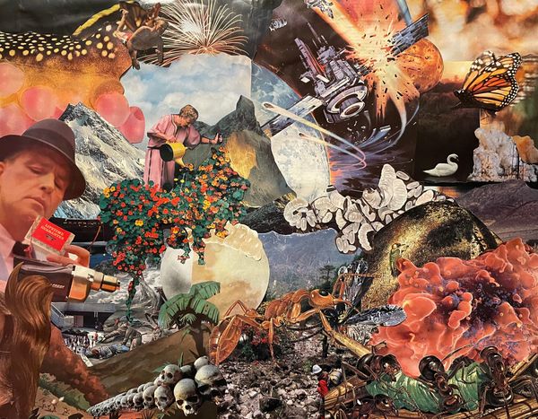 A collage of images cut from magazines including larvae, ants, skulls, a gardener, a crashing satellite, a monarch butterfly, and a man looking at a pack of cigarettes