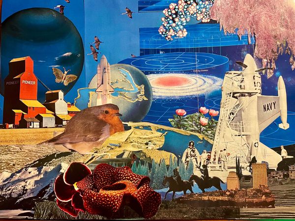 A collage including images of a grain elevator, two planets in a blue sky, a European robin, a monstera flower, and more than what alt text limits will allow here. 