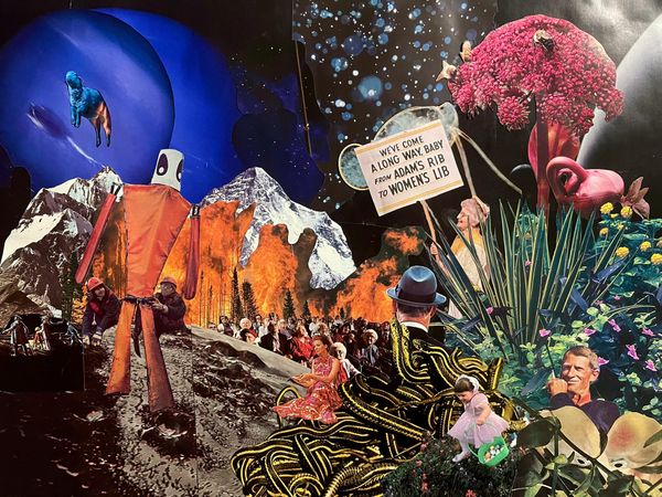 A collage of images including a weird guys made of orange kite fabric with a bucket head, an old woman holding a women's lib sign, mountains, fire, planets, snakes, plants.