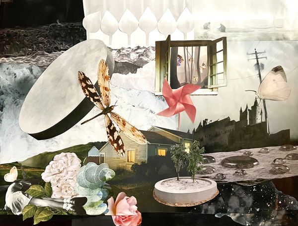 A collage of images including a dragonfly, a window, a floating cement disk, plants, and water droplets.