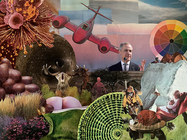 A bum peeking above a grass hill, a buck mid-call, a small garden, a pile of blob, a close up of mutated cells, two black holes, a red airplane, Carney, a colour wheel, a small full moon