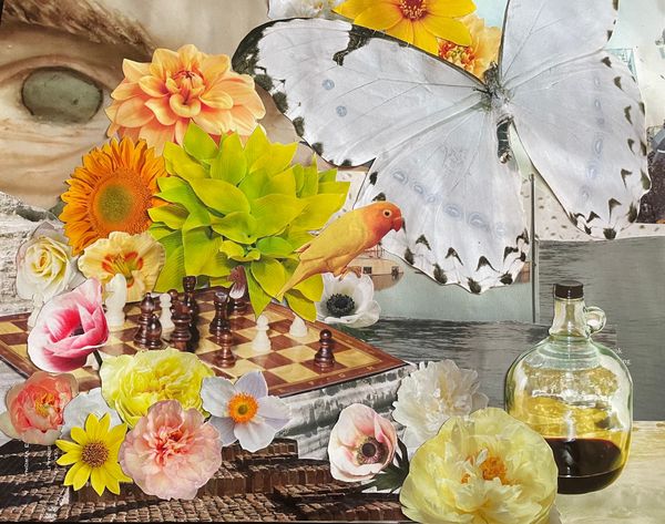 A collage of images including a chess board, a love bird, flowers, a statue's eye, a large white butterfly, open water, and a glass jug.