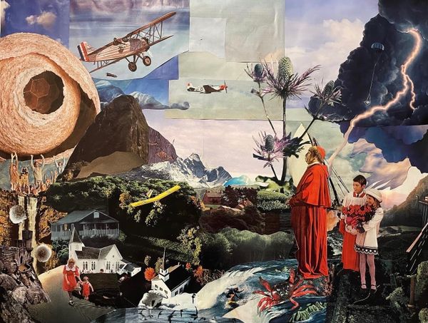 A collage of images including a hornet's nest, mountains and green hills, two small planes, a cardinal, two children, and a river.