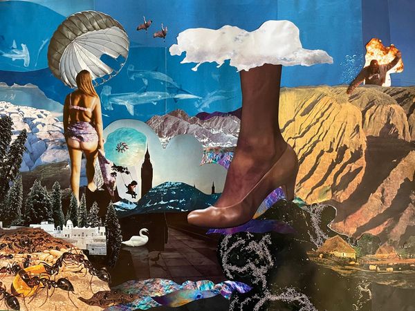 A collage of images including a woman walking in a sundress with her bum showing, ants, hammerhead sharks, and a woman's foot in a high-heeled shoe