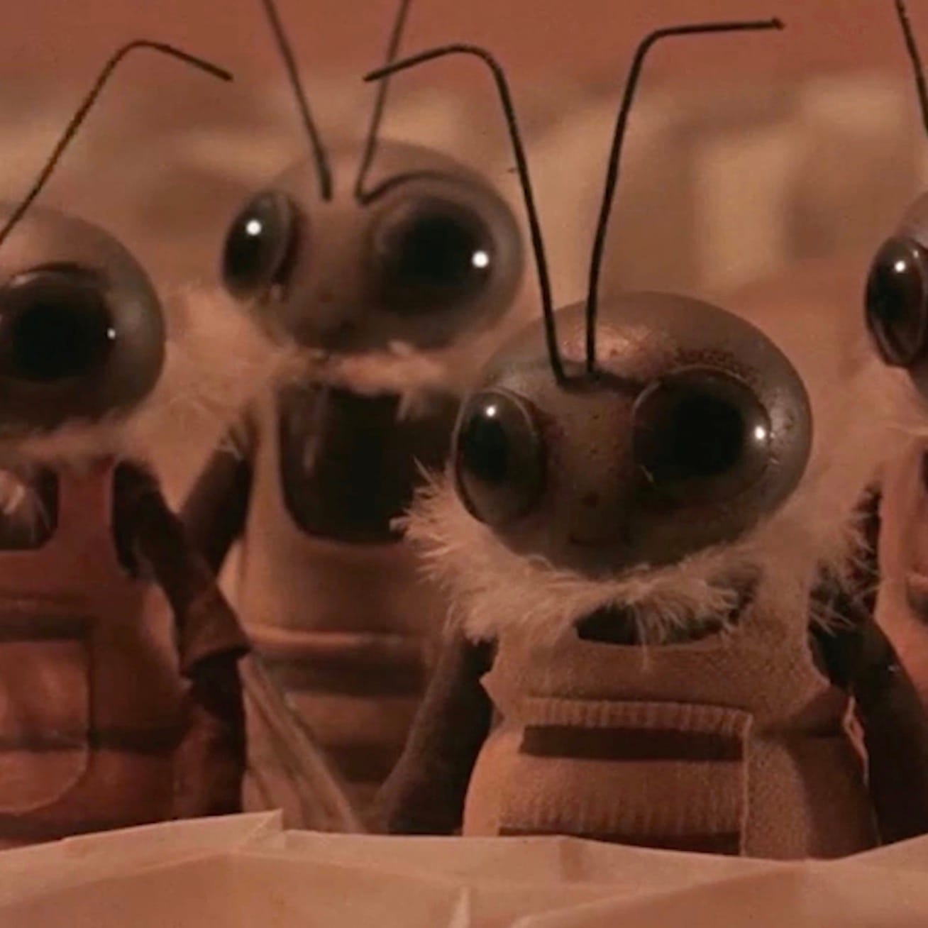 City of the Honey Masters Still 2