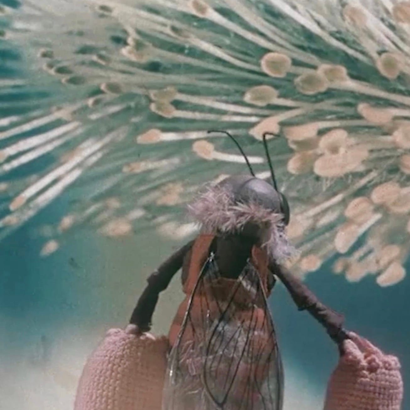 City of the Honey Masters Still 1