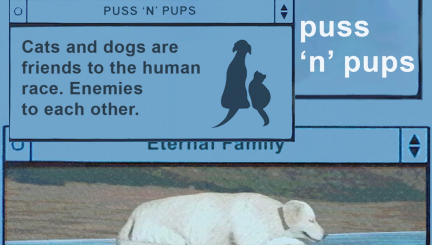 the puss n pups collection