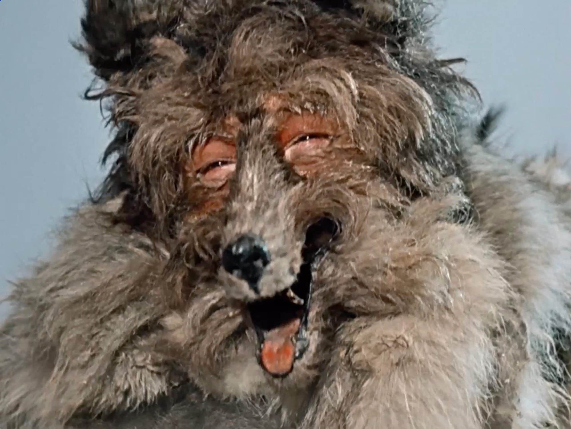 Celebrating Furries, Blow-Up Dolls & Hardcore Relaxation