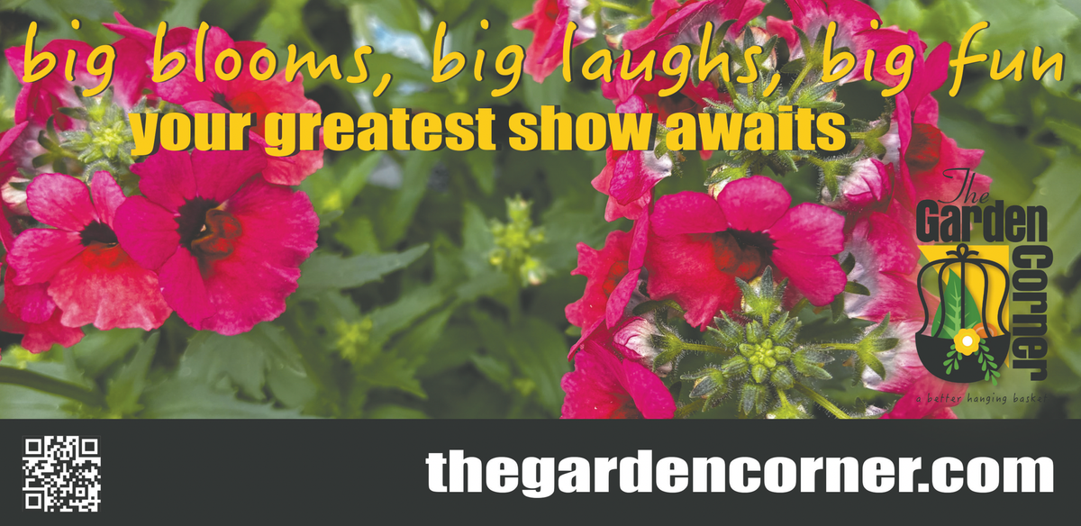 Column: The Garden Corner — that’s an excellent question