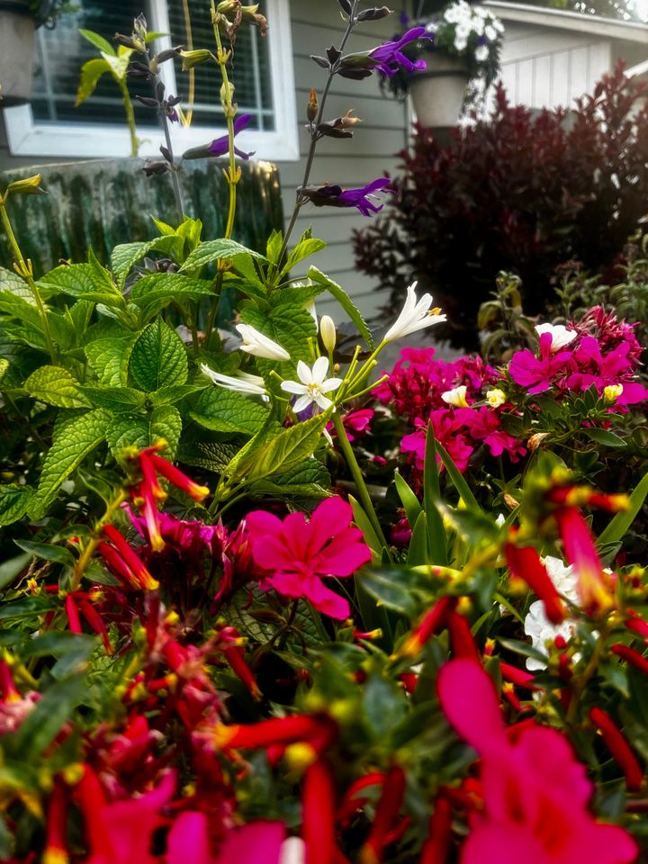 The Garden Corner Column: Three-ring babysitter