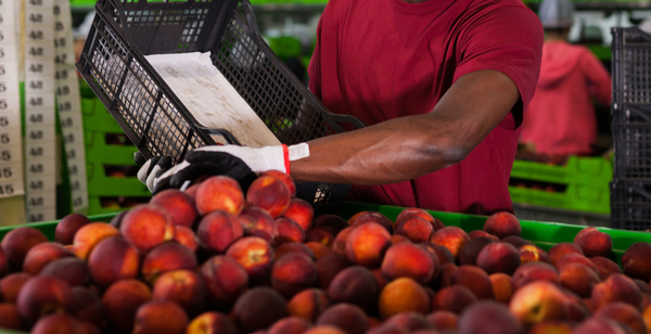 FSMA 204: How Shopify Food Brands Can Boost Traceability