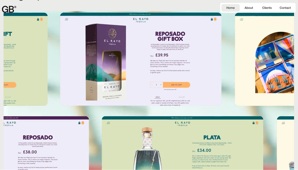 The top web development agencies for Shopify Plus & Enterprise