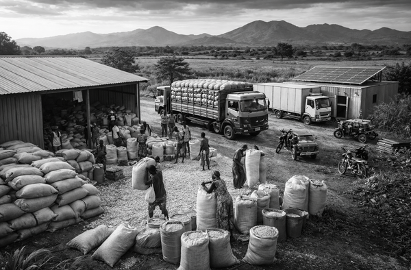 The Triple Gap in Agrifood Climate Finance