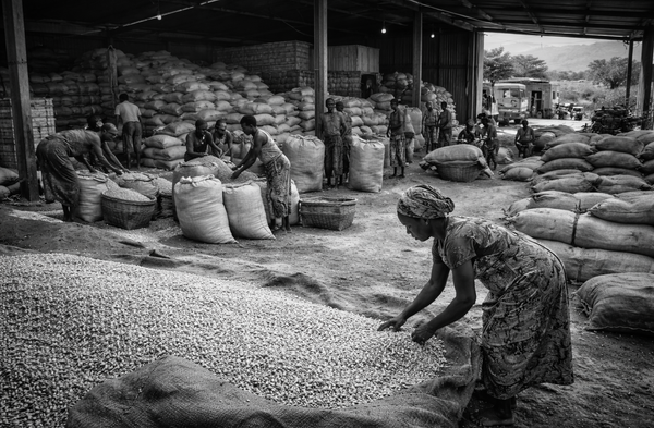 Where Agrifood Climate Capital Fails to Reach—and Why That Pattern Persists