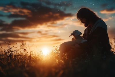 Connecting to the Shepherd