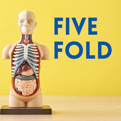 Five-Fold Artistic Ministries