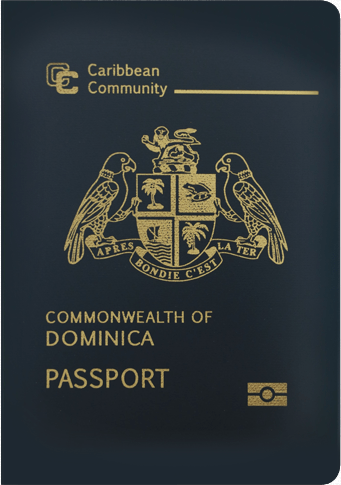 Tax Appeal of Dominican Immigration