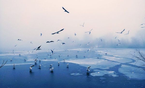 Replace Python Lists and Make Your Code Orders of Magnitude Faster!