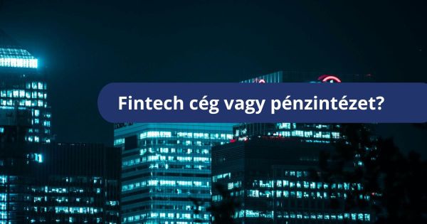 Fintech cég vagy pénzintézet?