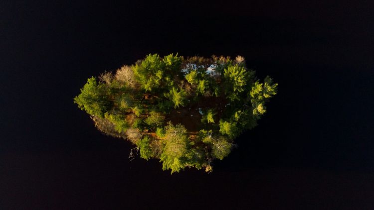 Your Organization or Business is a system with a system