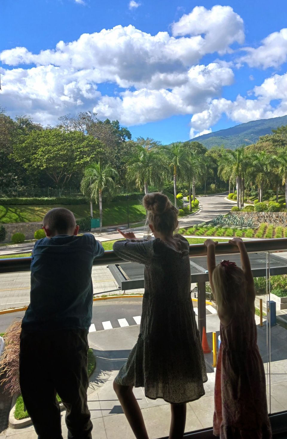 Pineapples, Papayas, and Pupusas