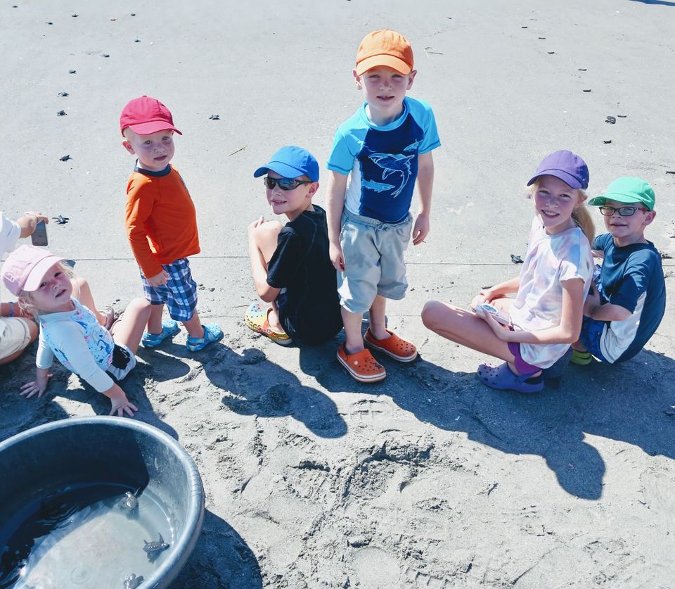 Saving Sea Turtles as Seen Through Six Sets of Eyes