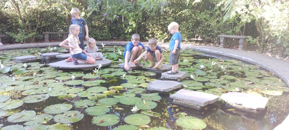 Jardin Botanico-La Laguna