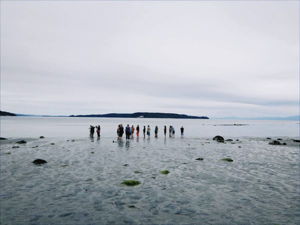 Soon But Not Yet: Postcards from Cortes Island