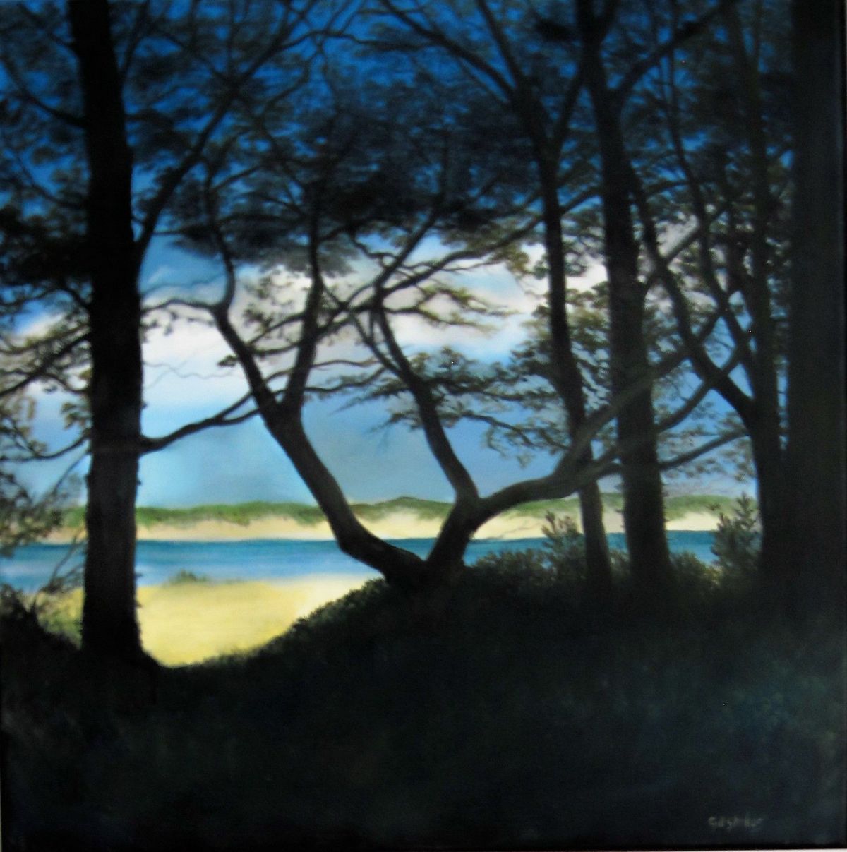 At the Edge of Culbin Forest