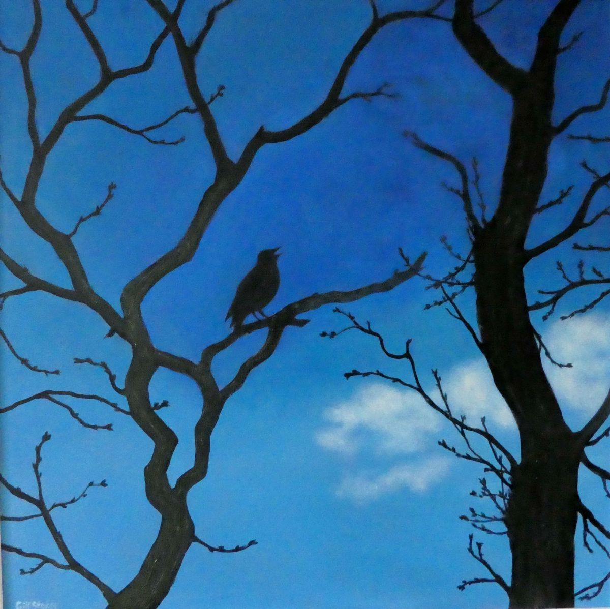 First Voice                       £450