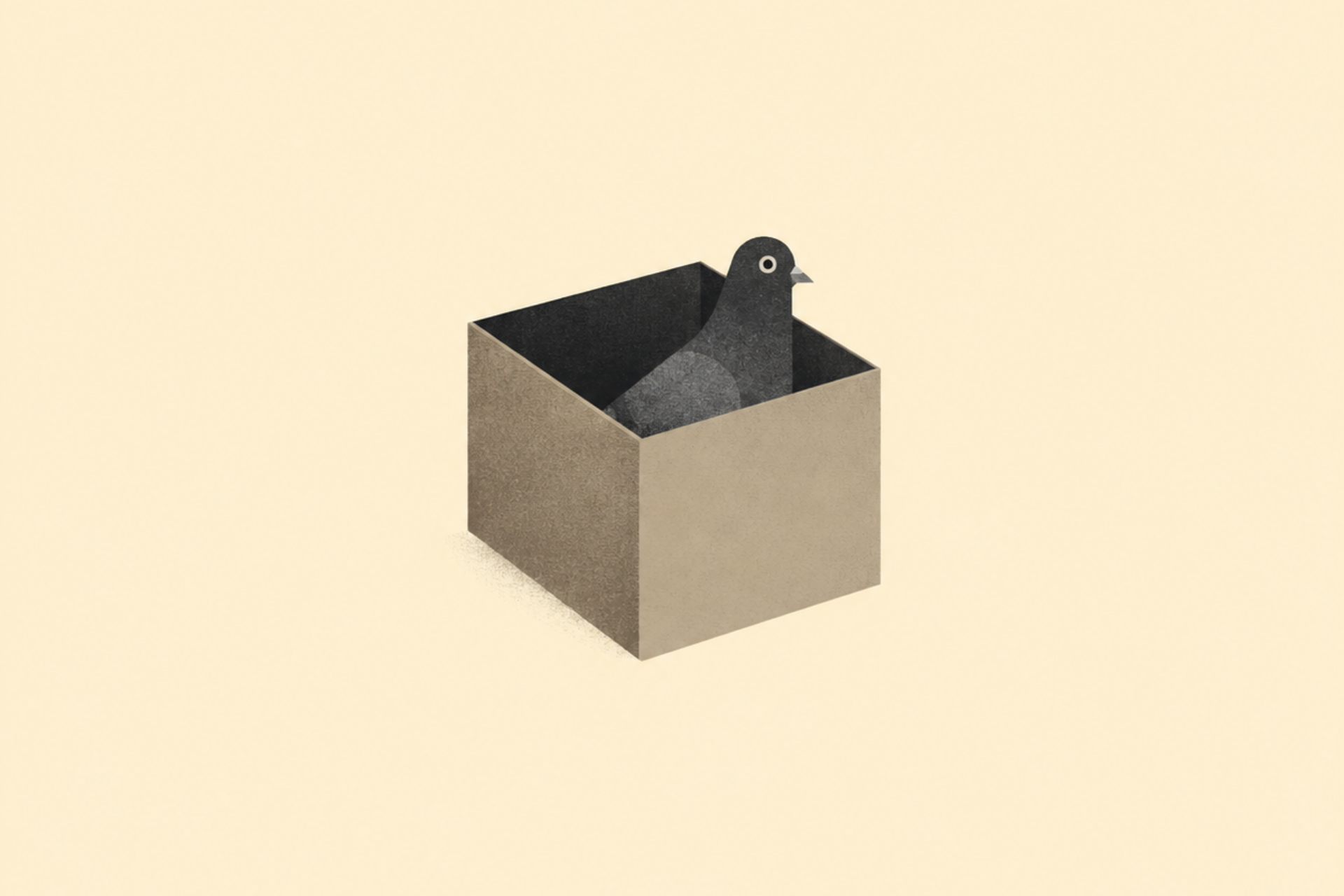 A pigeon standing inside an open cardboard box against a plain cream background.