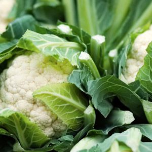 cauliflower