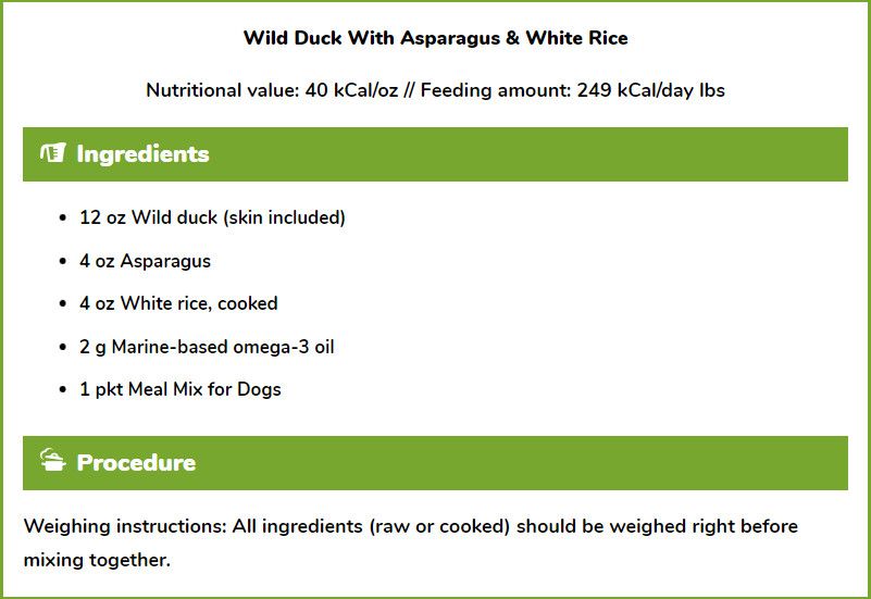 Wild Duck with Asparagus & White Rice